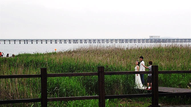 上海金山区有没有免费的沙滩,上海金山沙滩