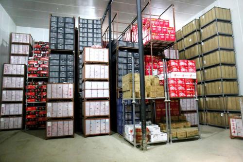 铜川印台发展,铜川市印台区产业园