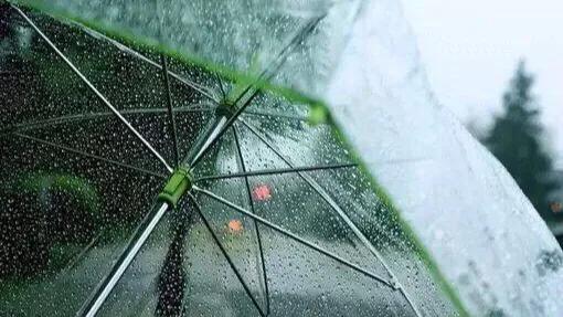 黑坑“肥水”鱼难钓，如何调整？因地制宜分析原因，即可有效避免