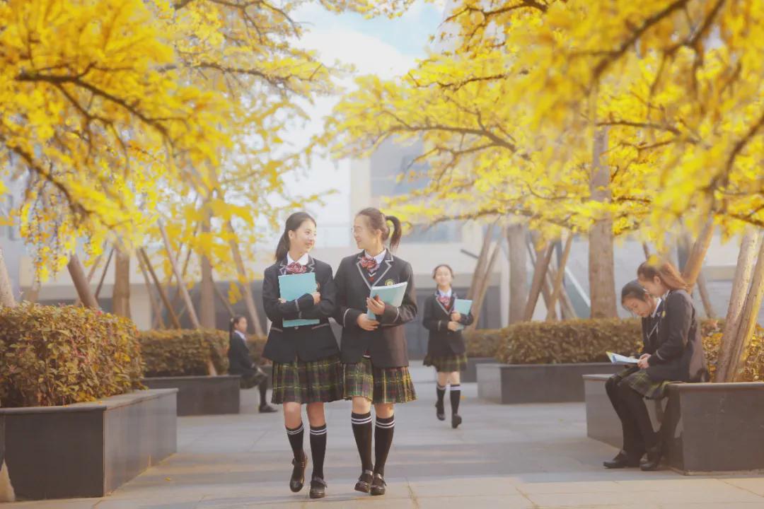 成都外国语实验学校新津校区招聘,成都市实验外国语学校容易应聘吗