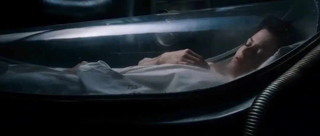 异形到底有多少种形态,异形到底存在吗