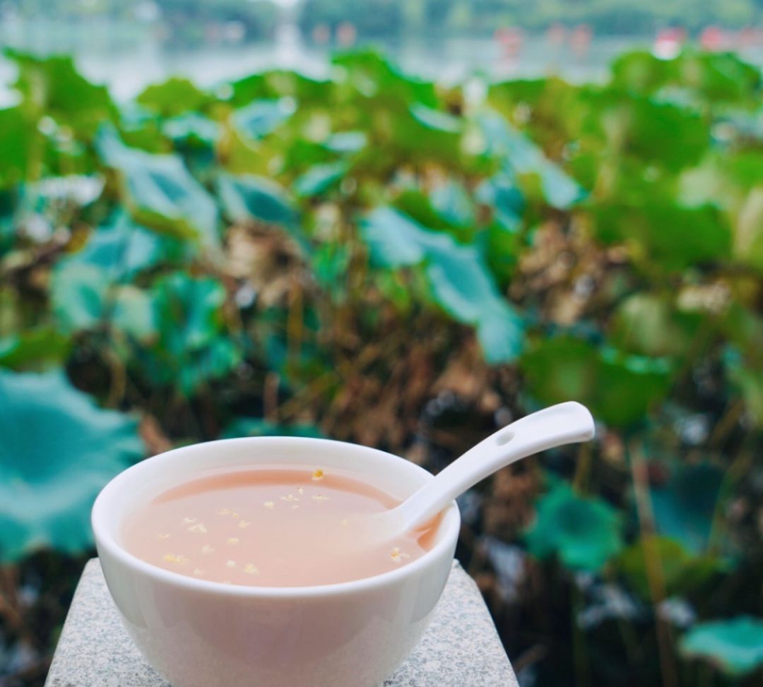 花港一楼茶楼,花港公园一元早茶