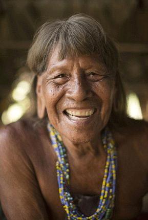 亚马逊热带雨林森蚺为什么不过海,最大的蛇森蚺生活在亚马逊雨林