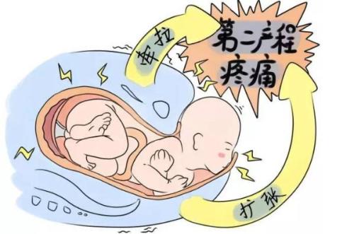 顺产开十指有多痛,顺产开十指究竟有多疼