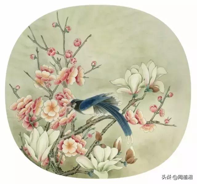 宋人工笔花鸟临摹步骤,工笔花鸟玉兰的画法