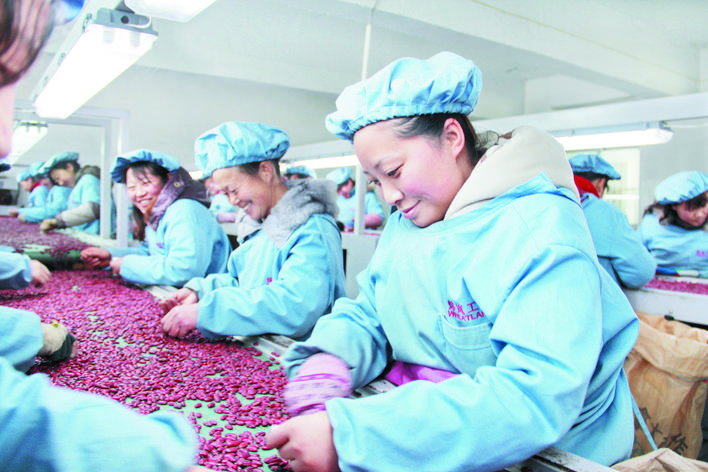 庆丰收感党恩山东各地丰收节活动,庆丰收感党恩宴席背景图片