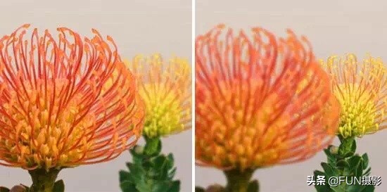 怎么知道镜头的最佳对焦,1分钟摄影教程5招选好对焦位置