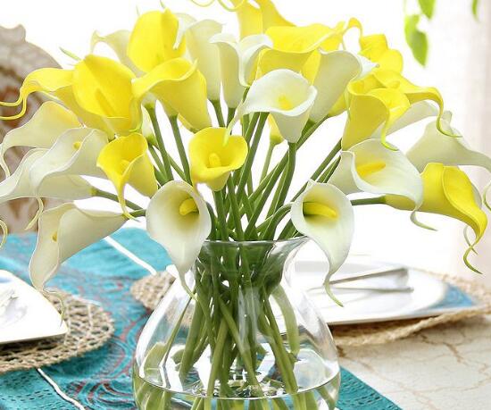 马蹄莲鲜切花花朵发黄焦边干枯,马蹄莲花蔫叶子发黄是什么原因