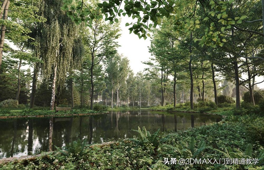 3dmax树木模型在哪里,3dmax植物树