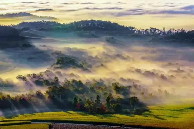 临江仙点滴芭蕉心欲碎表达了什么,临江仙点滴芭蕉心欲碎拼音版