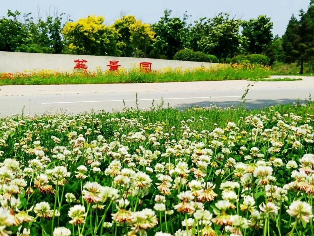 锦州世博园自由行,锦州世博园攻略