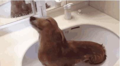 南方人洗澡不搓泥原因,南方人洗澡不搓泥不脏吗