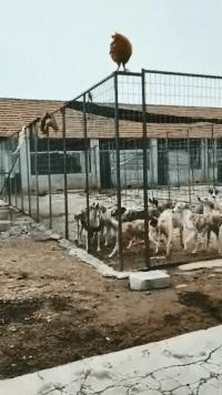 捡到了u盘里面会有什么,捡到一个u盘还好没有用