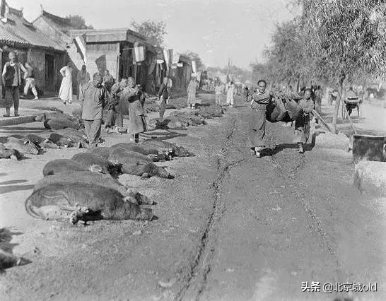 老北京崇文花市,老北京崇文花市的记忆