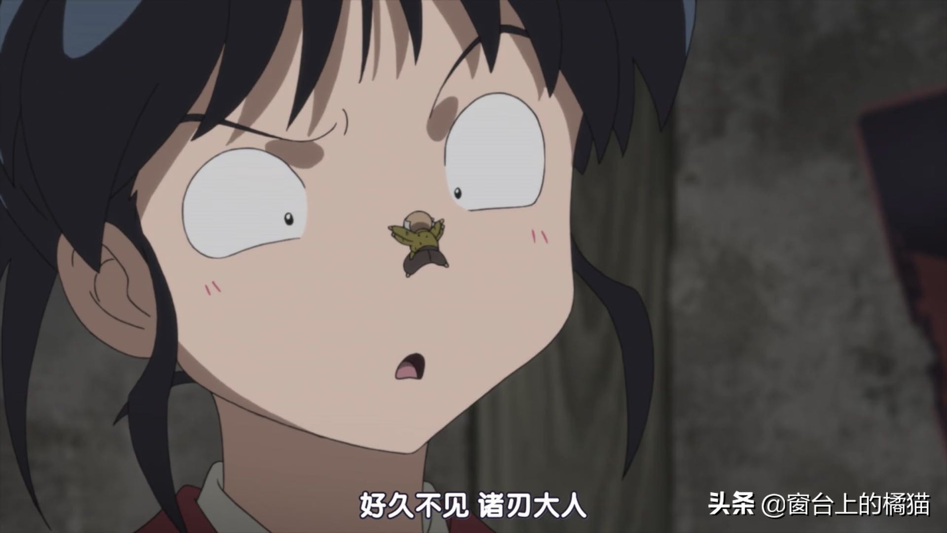 犬夜叉半妖的夜叉姬剧情介绍,犬夜叉后传大结局