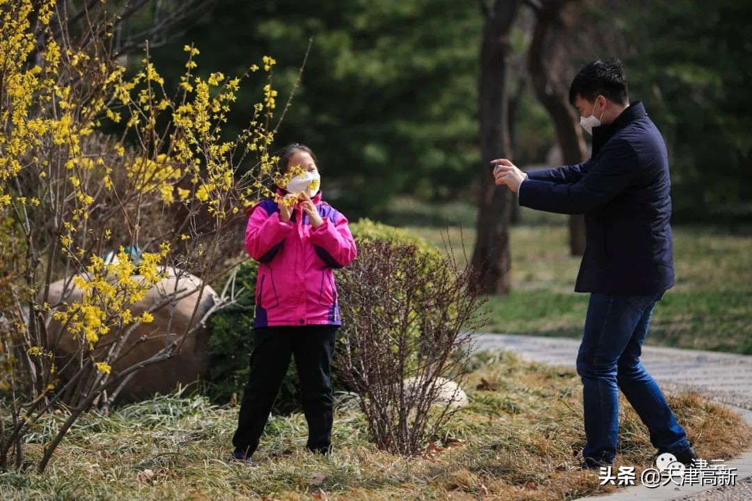 天津即将完工的公园,天津2022年四月开放的公园