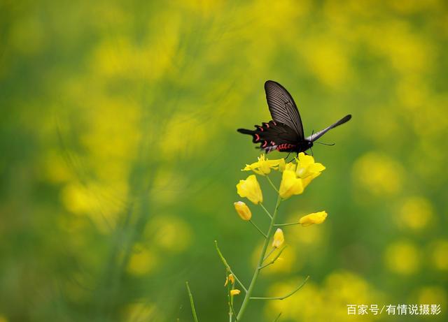 相机测光和对焦的使用方法,测光与对焦如何快速选择操作方式