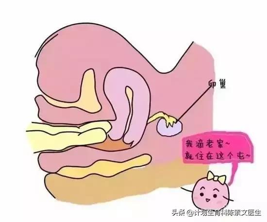 切口妊娠的孩子能要吗,什么叫切口妊娠介入治疗