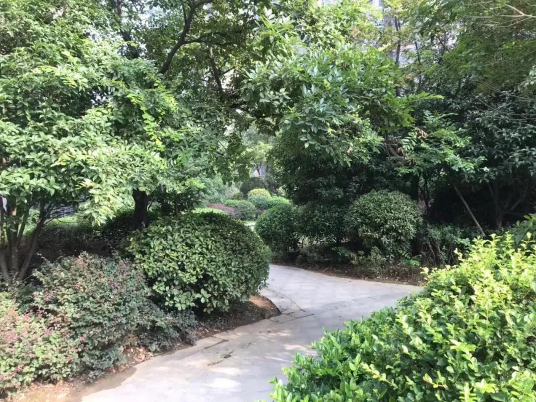 震撼阜阳这些小区房价曝光,阜阳十大楼盘降价