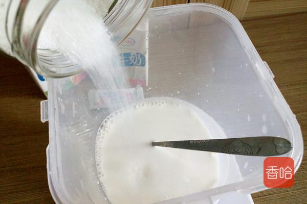 教你自制酸奶，最简单的方式，浓稠又好喝，家人抢着喝