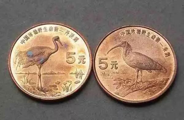 金币为什么会涨,金币包浆为什么影响价值