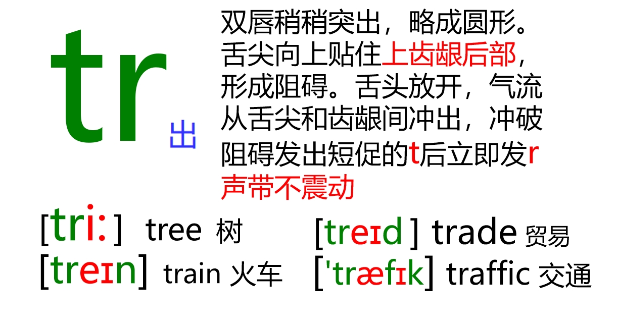 48张国际音标卡片大号,音标48个卡片