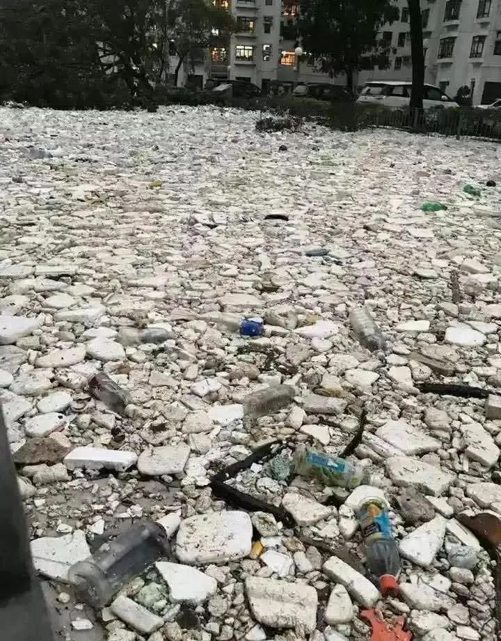 台风烟花过后留下惊人的一幕,台风烟花结局