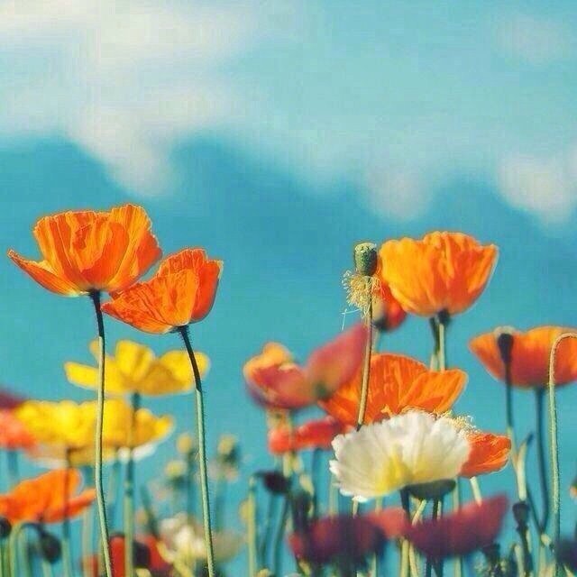 女生突然不回消息怎么高情商回复,女生说忘记回你信息了高情商回复