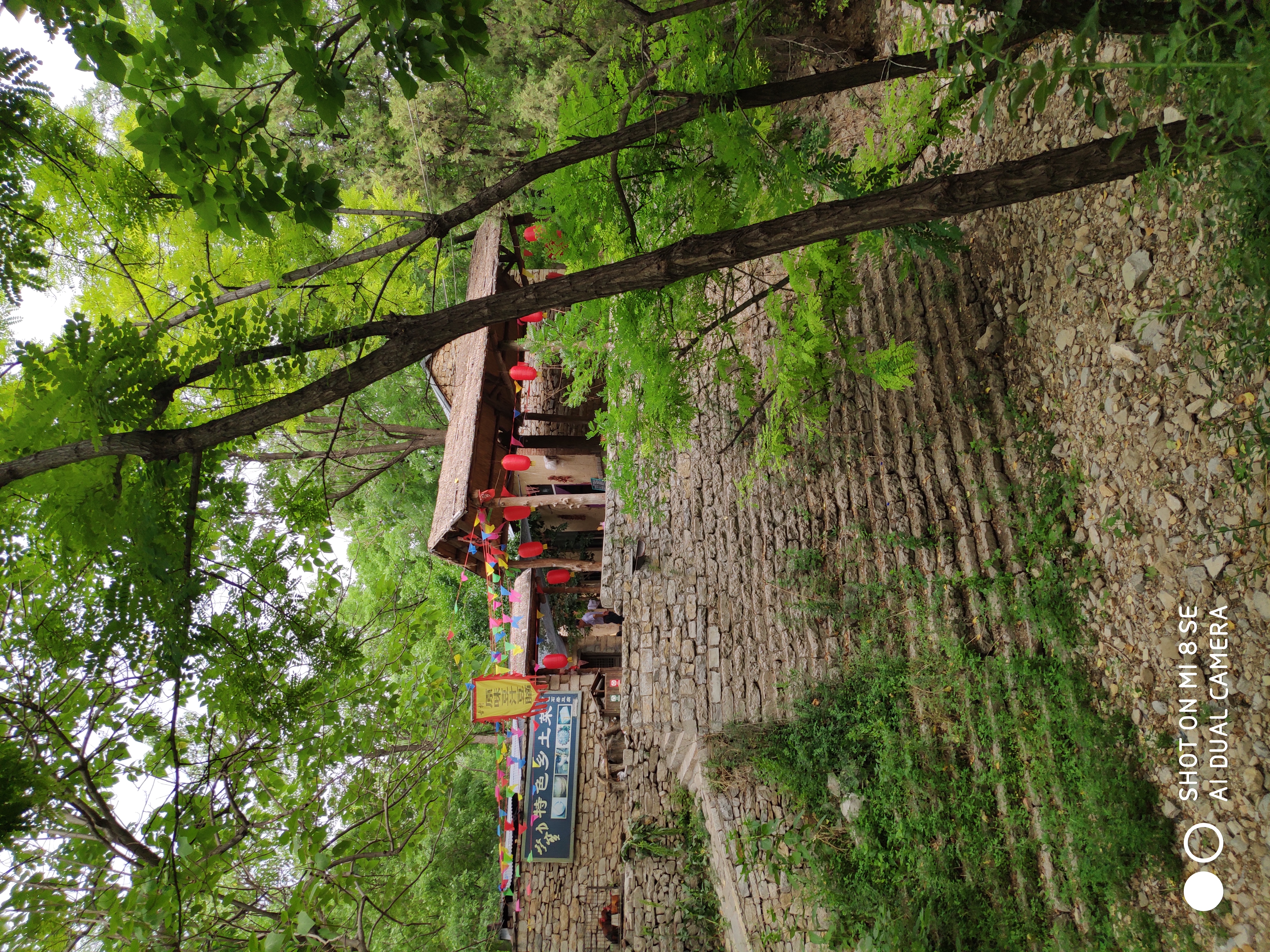 绾佃涔濆窞鍥涙捣,绾佃涔濆窞鍥涙捣婕函鍗冨勾鏄ョ