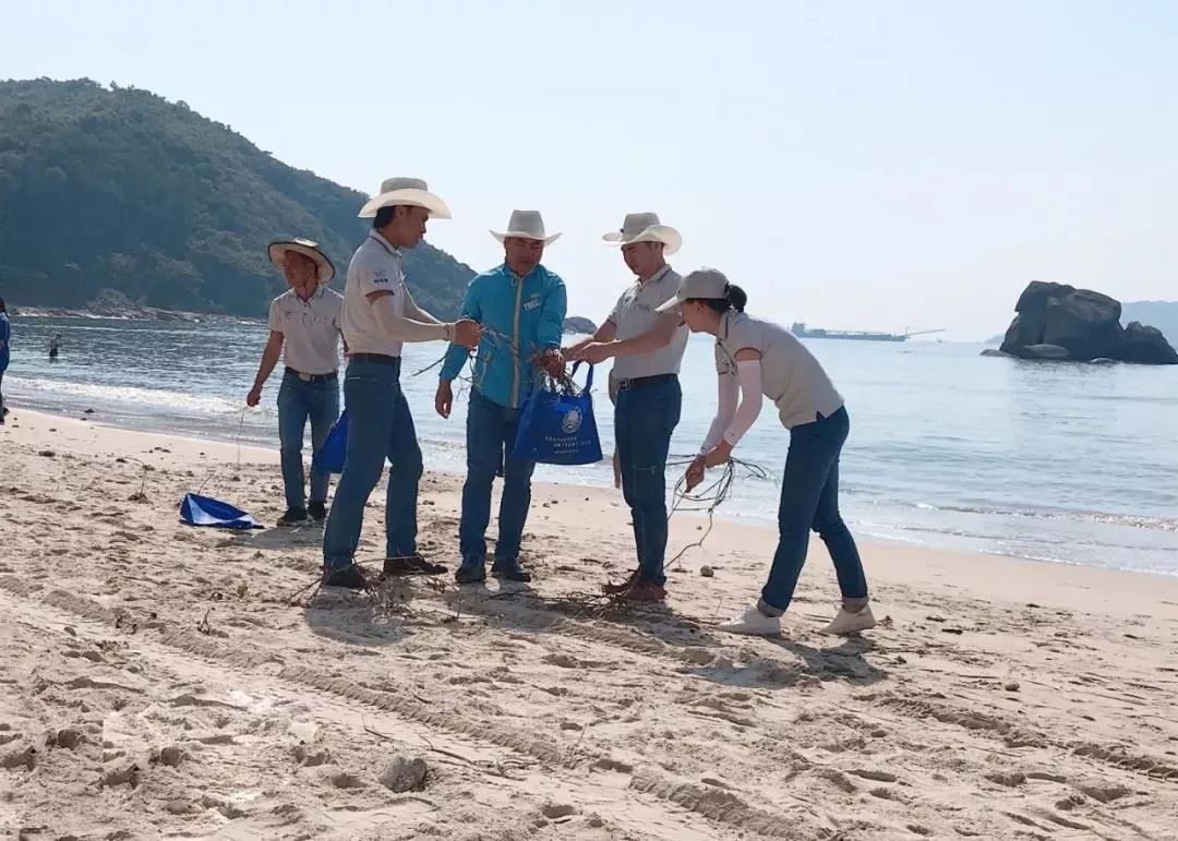 铚堟敮娲插矝娴锋磱缁存姢,铚堟敮娲插矝淇濇姢娴锋磱鐜