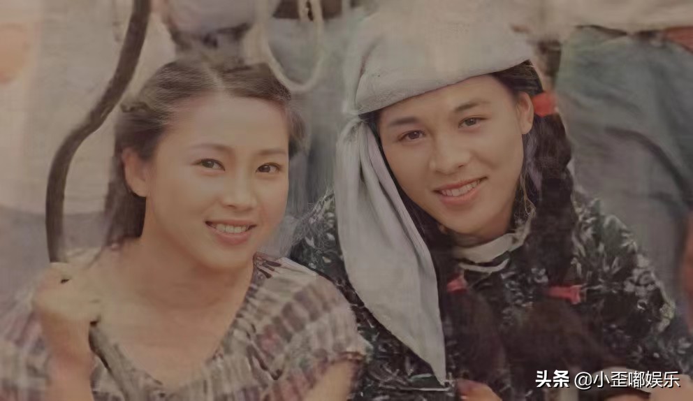 李连杰婚外情,李连杰两段婚姻