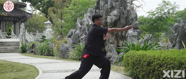 美丽鹅城,最美鹅城