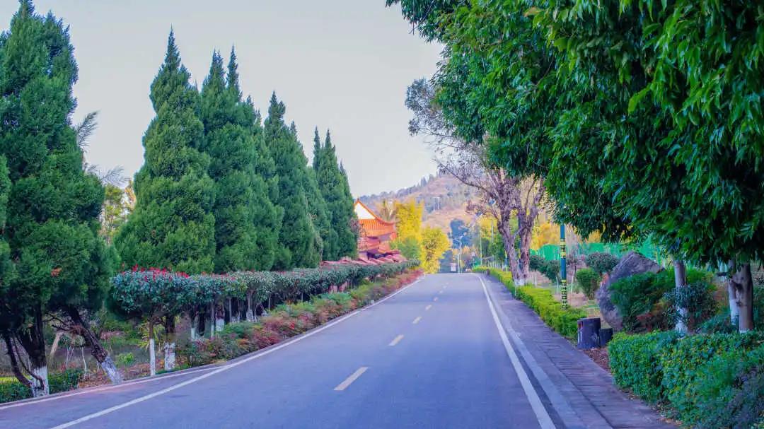 邛海湿地公园旅游攻略路线,西昌邛海住民宿攻略