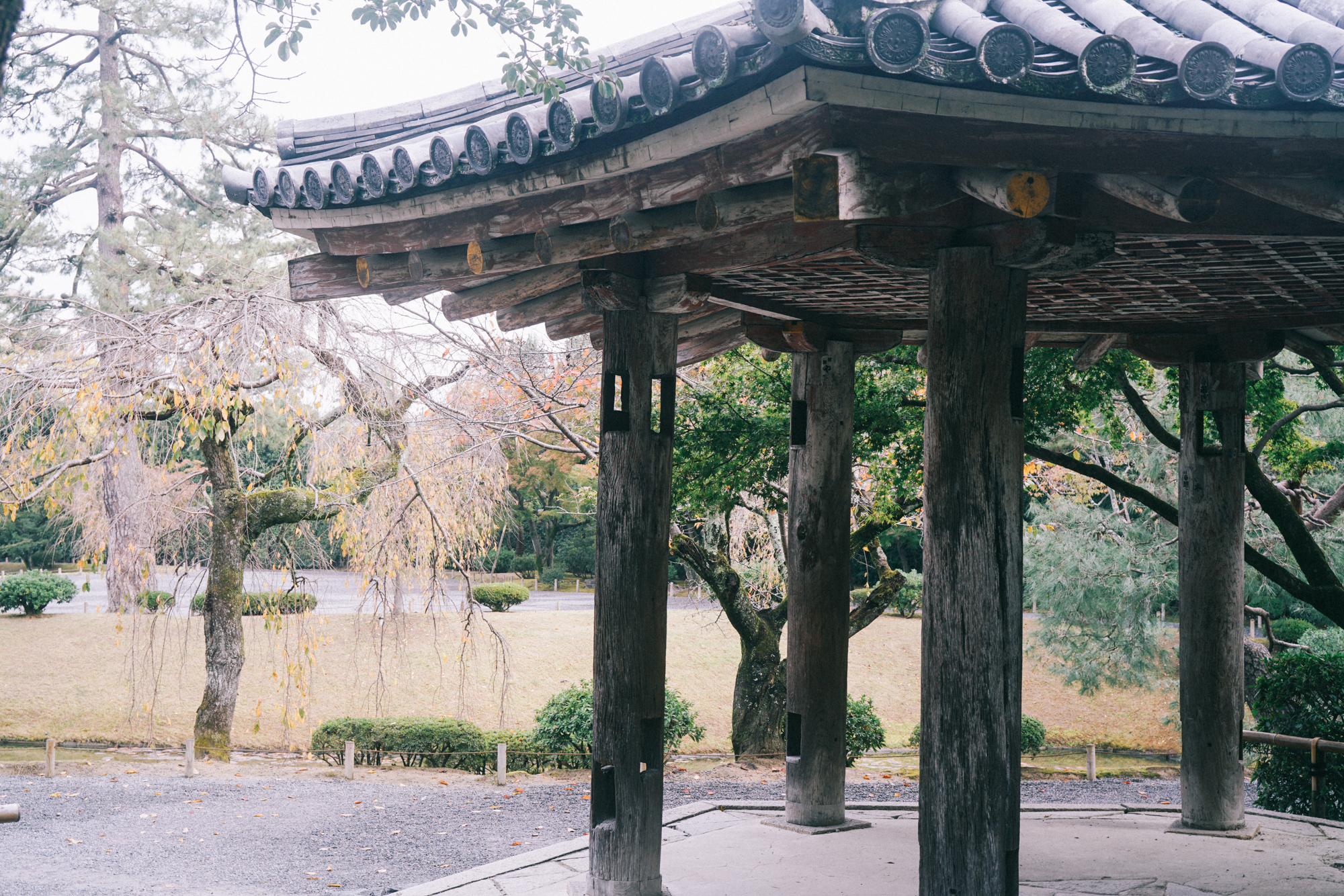 日本京都最值得去的地方,日本京都值得去的地方