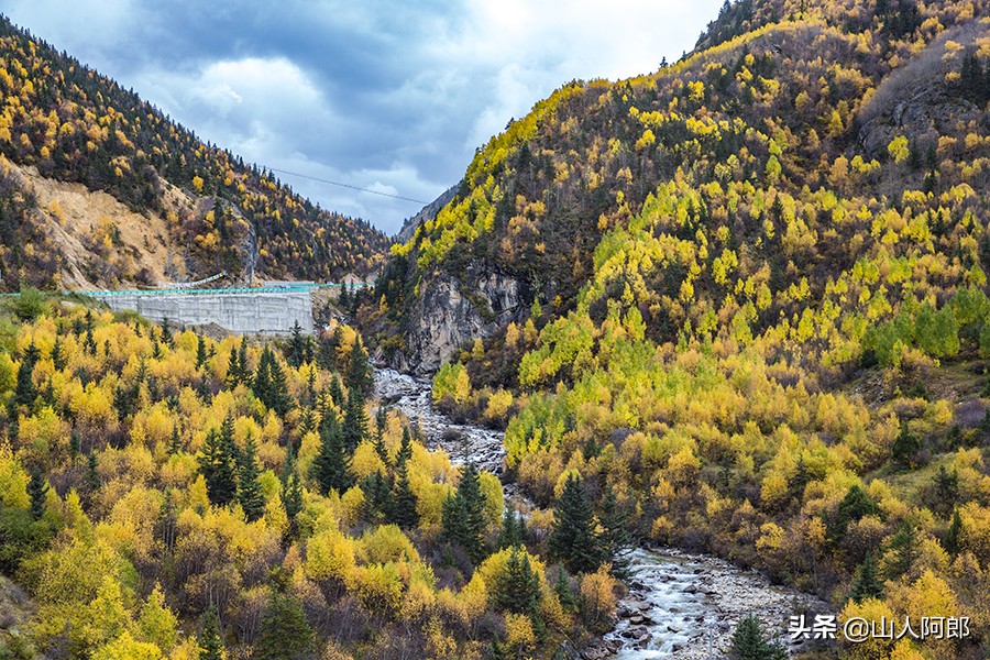 宸濊タ楂樺師澶ц崏鍘熺殑璺笂鐓х墖,闈掕棌楂樺師涓婄殑鑽夊師闆北椋庢櫙