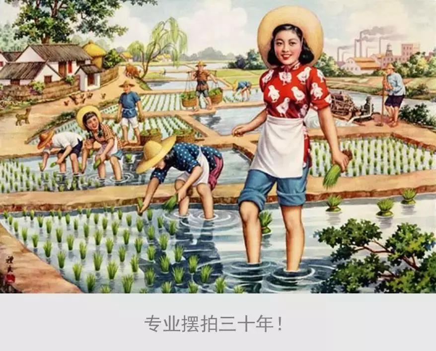 我的父母是戏精,我的爸妈是木匠原版