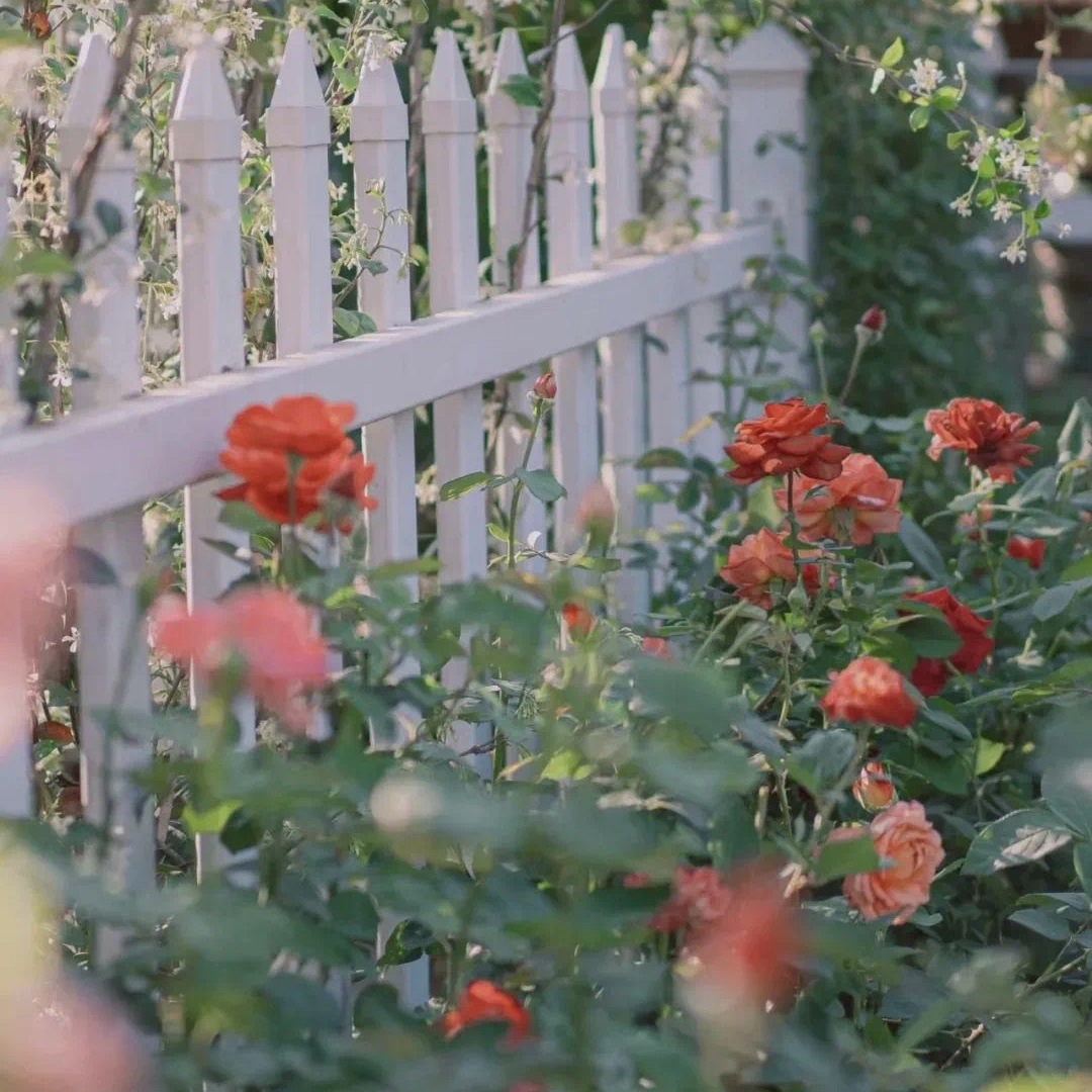 如何治愈原生家庭带来的伤害课程,该怎么治愈原生家庭带来的伤害