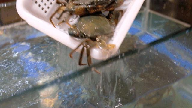 广州虾蟹火锅,油爆蟹火锅哪家好