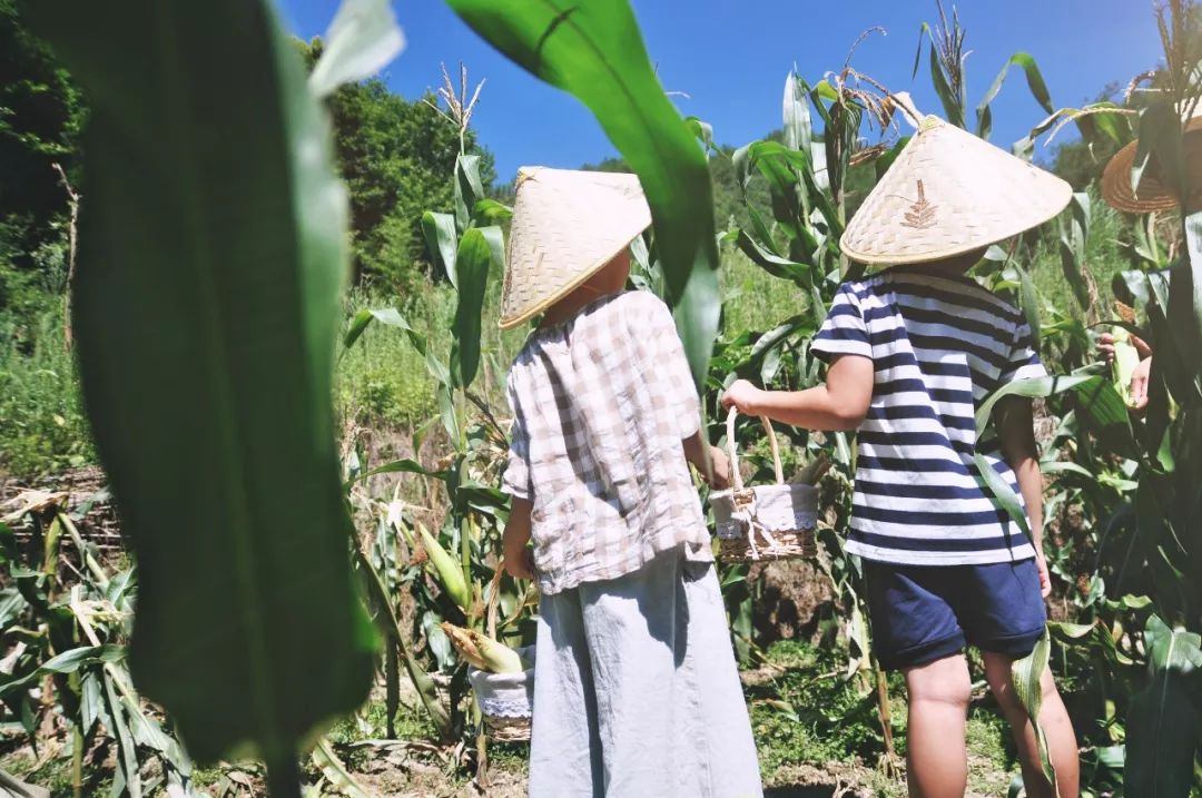 浙江杭州民宿3天二晚,浙江浦江登高村春社民宿