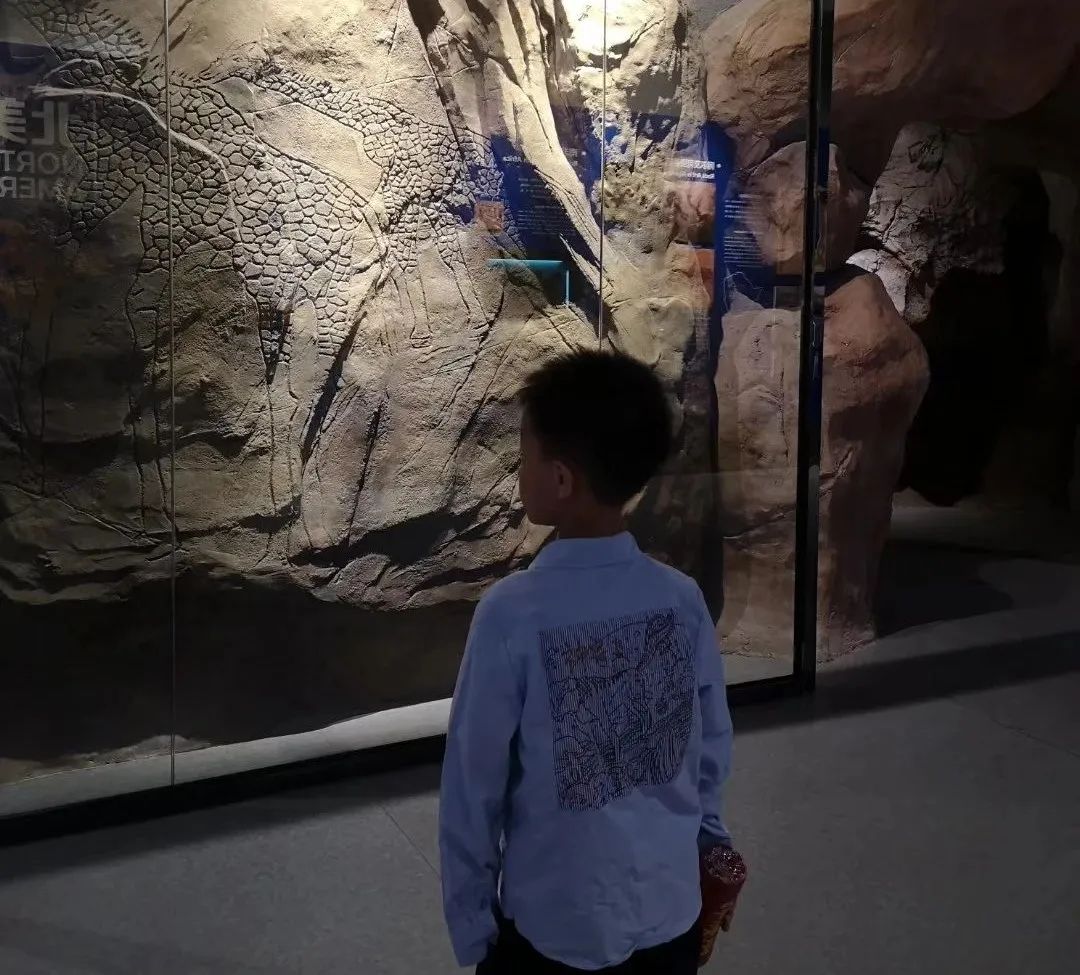 随心走旅游,宁夏自由行旅游攻略