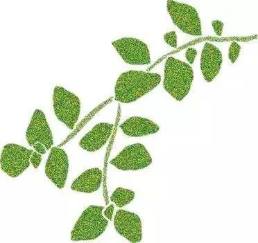 烹饪菜肴用的香辛料,料理必备调味料