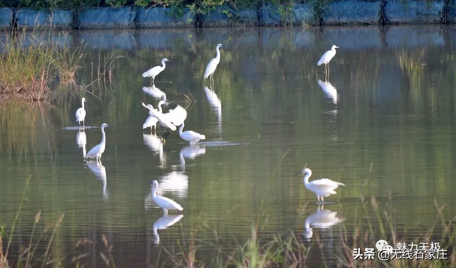 澶х編鏃犳瀬楂樻竻鐩存挱,澶х編鏃犳瀬