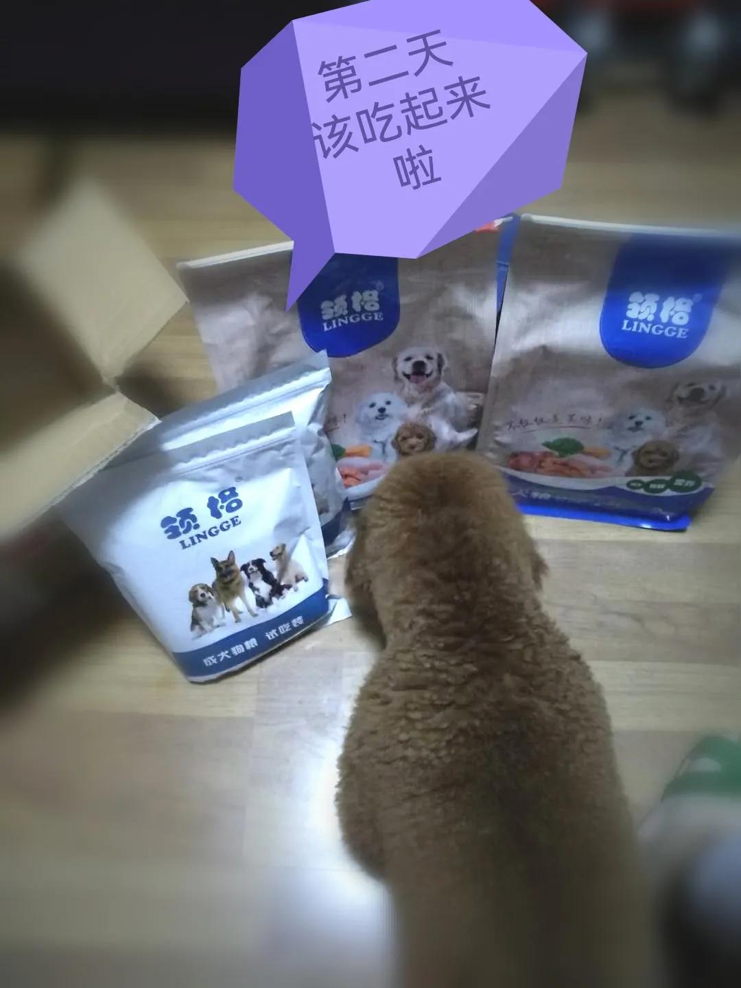 国庆七天乐毕福剑主持,国庆七天乐已经正式拉开帷幕