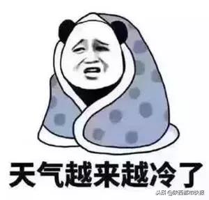 西安哪里买乌鸡比较新鲜,西安哪有卖乌鸡