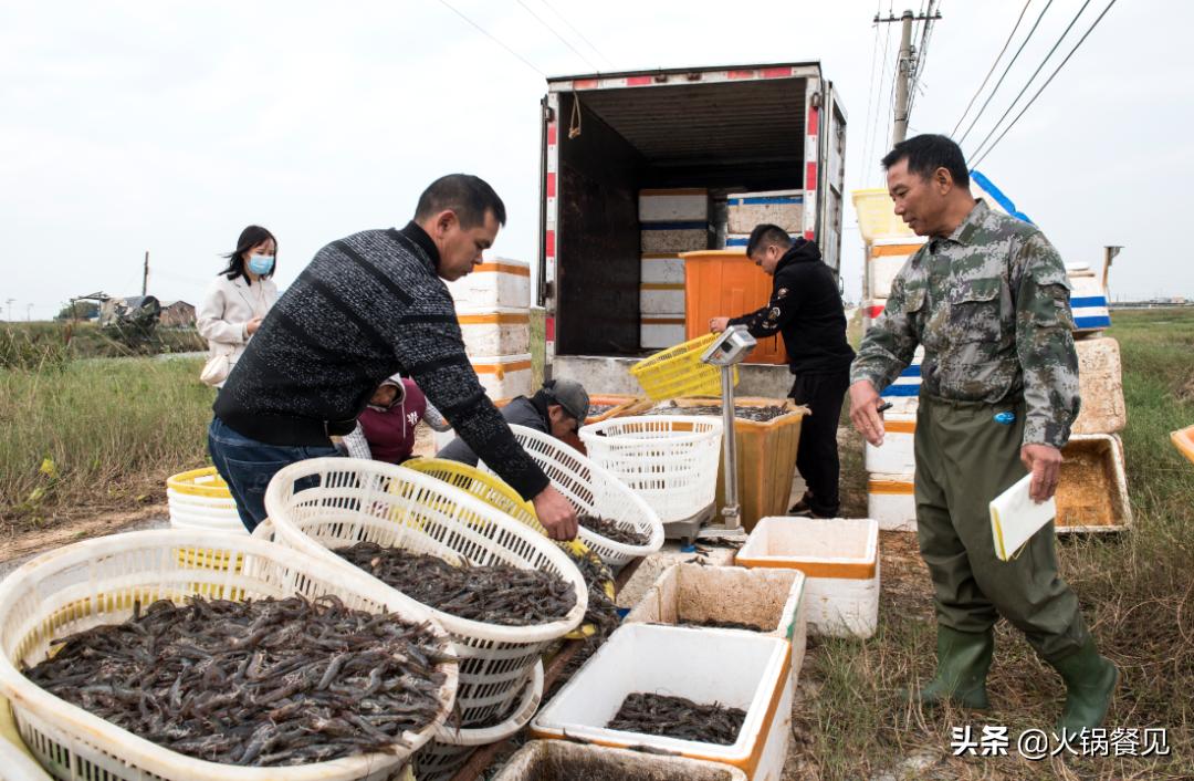 北海正宗海味鲜虾虾滑,广西北海新鲜虾滑