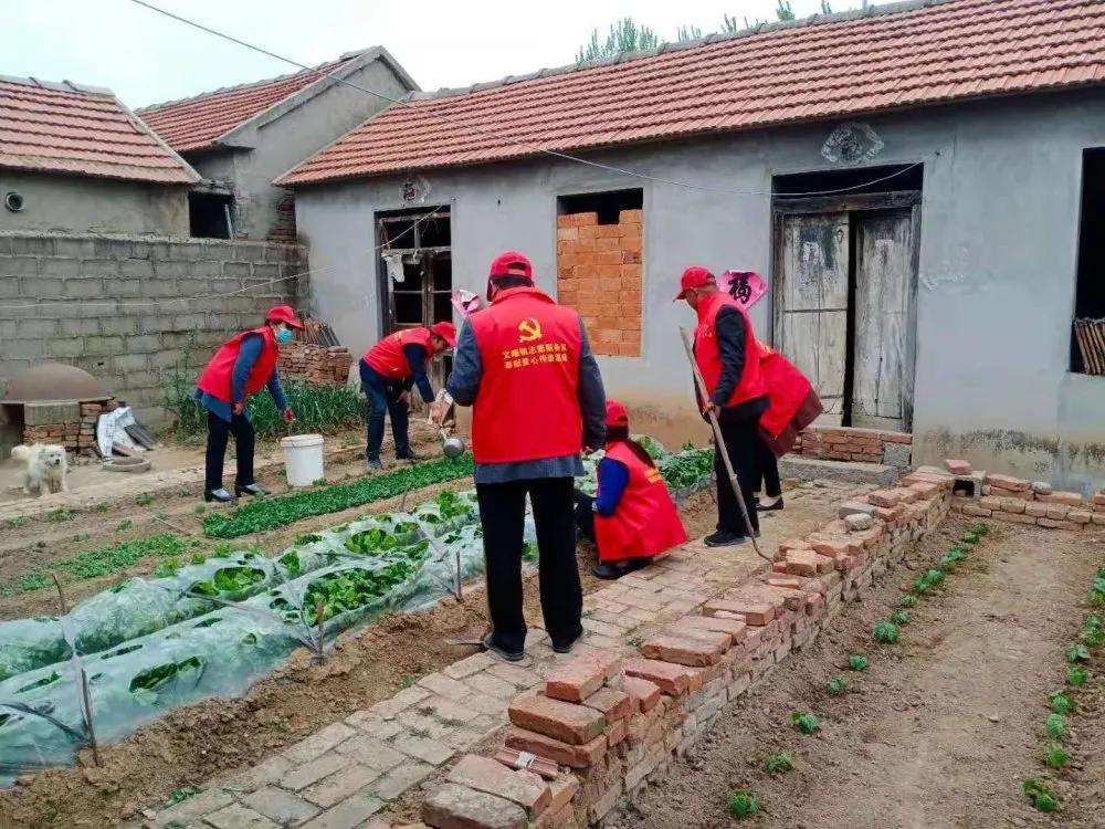 党员志愿服务活动4月,4月份党员开展志愿服务活动内容