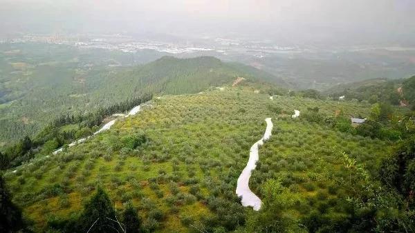 淮州新城医院什么时候投入使用,淮州三甲医院最新消息