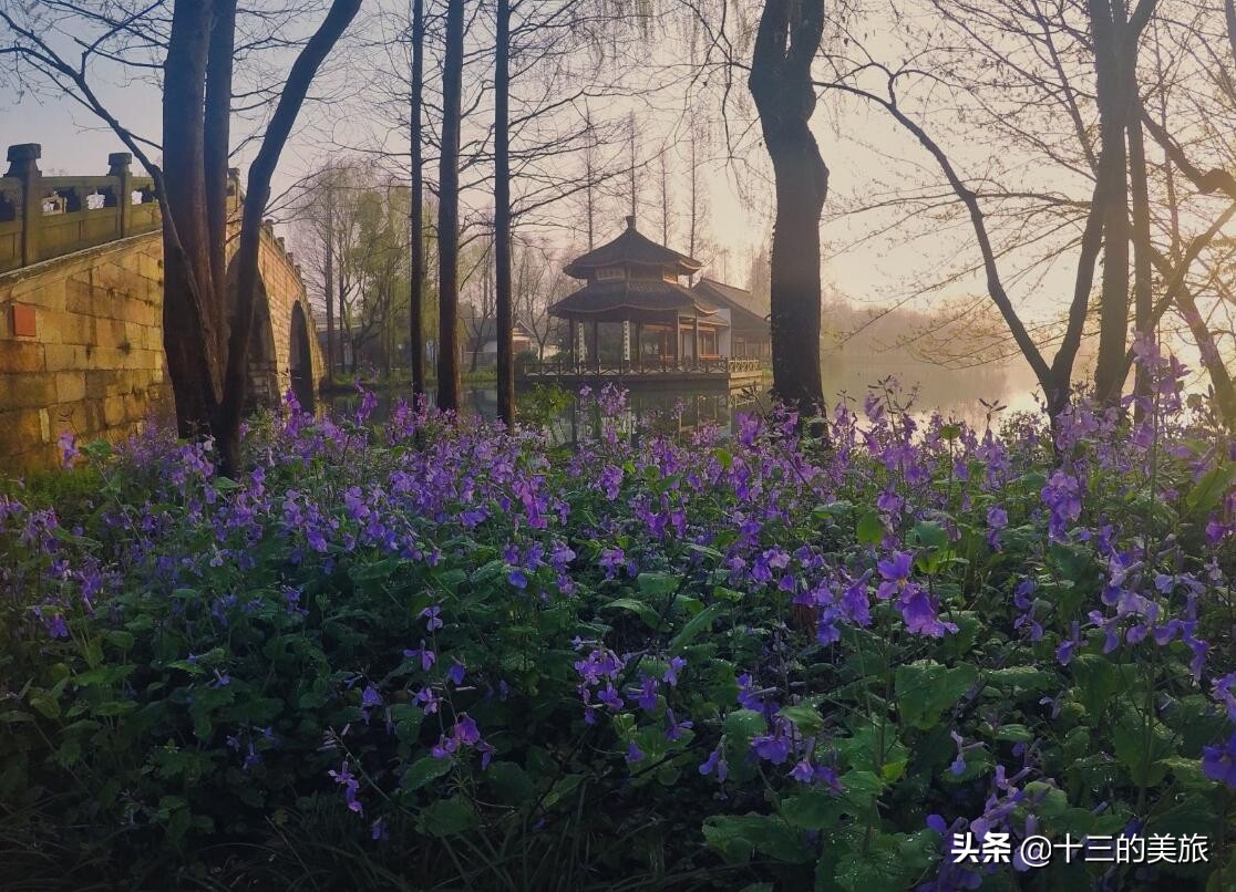 美丽的杭州西湖打卡地风景如画,美翻了银杏湖