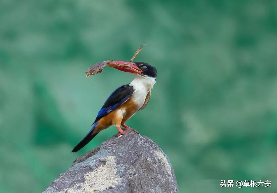 霍山一等奖名单,霍山县在全省排名多少位