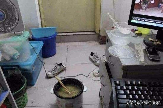 宅男煮米饭总有香味,电饭煲锅底十几只壁虎。网友:千寻诚不欺我
